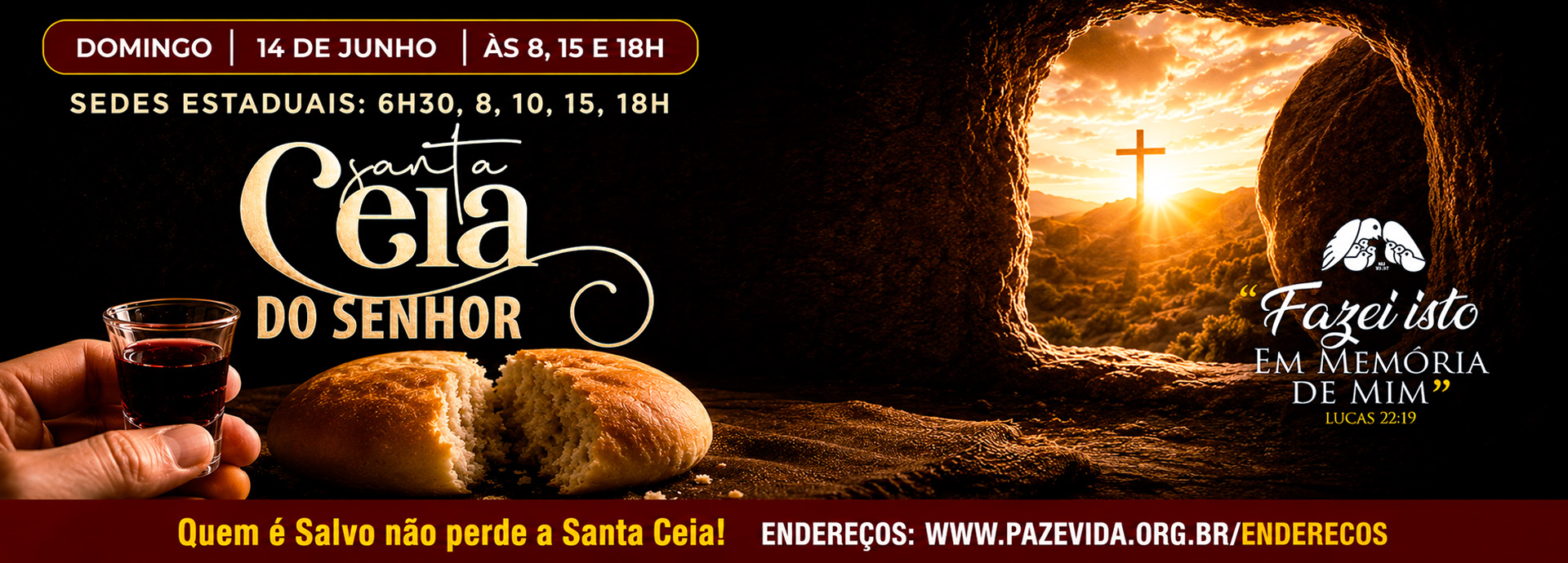 banner-novo-pv31.jpg