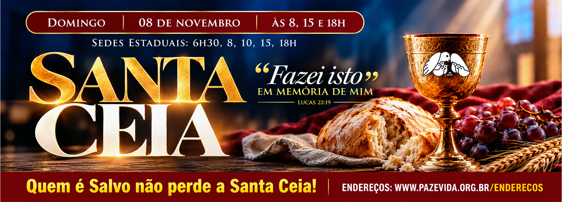 banner-novo-pv31.jpg